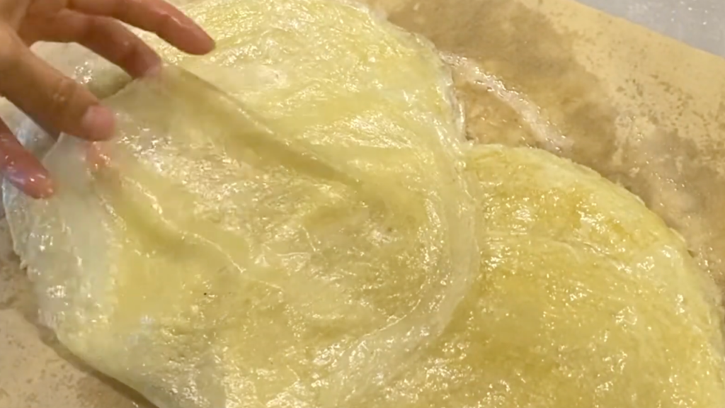 Feuilles de brick sans gluten faites maison, fines et souples, cuites dans une poêle en inox et prêtes pour briouates ou samoussas.