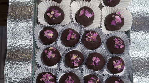 Boules de coco keto sans sucre, enrobées de chocolat noir et décorées de pétales de roses
