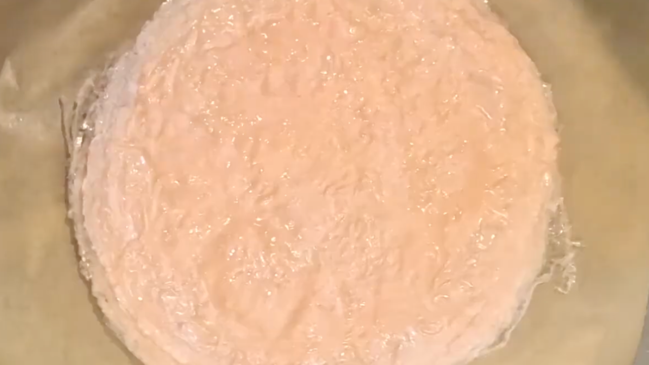 Feuilles de brick fines et souples préparées avec des lentilles corail et cuites à la vapeur sur une poêle, version sans gluten.