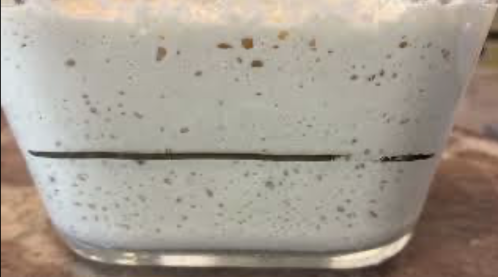 Levain sans gluten au quinoa dans un bocal en verre, bulles visibles en surface montrant une fermentation active.