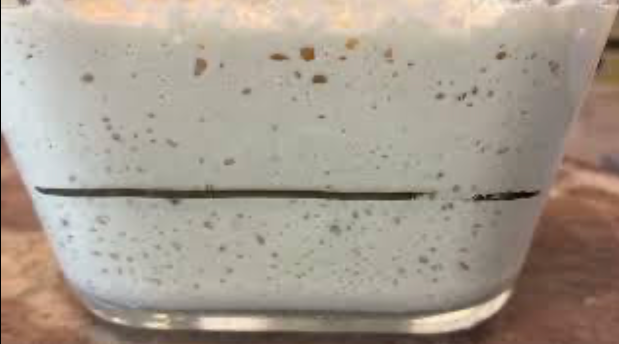 Levain sans gluten au quinoa dans un bocal en verre, bulles visibles en surface montrant une fermentation active.